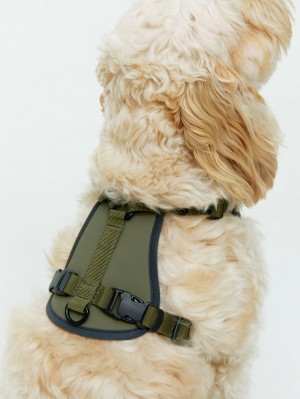 Inne Akcesoria Arket Mesh Dog Harness Męskie Khaki Zielone | Polska FYAJG-7430