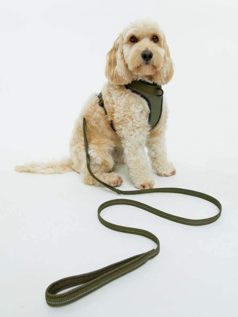 Inne Akcesoria Arket Mesh Dog Harness Męskie Khaki Zielone | Polska FYAJG-7430