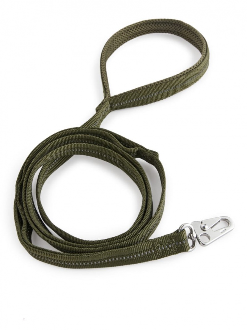 Inne Akcesoria Arket Nylon Dog Leash Męskie Zielone | Polska PGXYV-2963