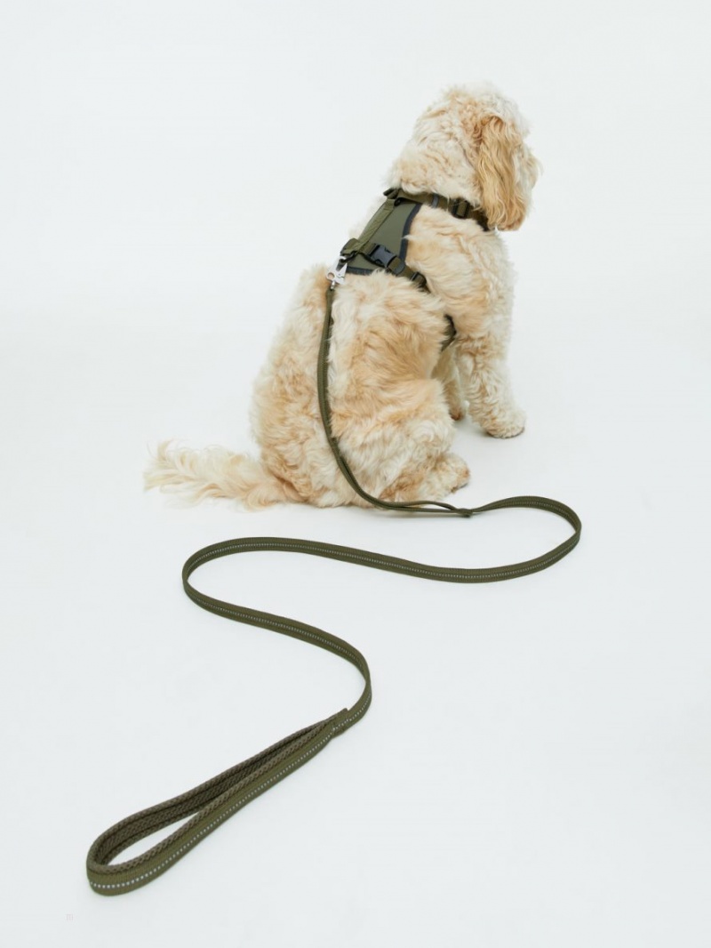 Inne Akcesoria Arket Nylon Dog Leash Męskie Zielone | Polska PGXYV-2963